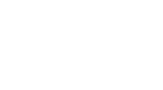 logo Ferdi
